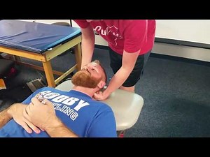 Tectorial Membrane Test