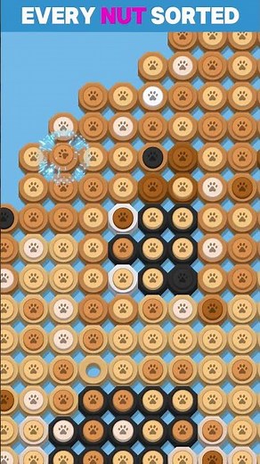 Nut n Bolt Color Sorting Game