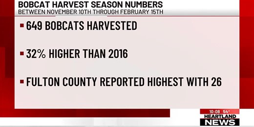 Bobcat harvest season numbers