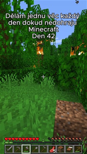 ještě jeden 🍉 ať máme dost jídla Den 42