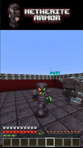 RAVAGER vs EVERY Armor in Minecraft… Can NETHERITE Survive?! 💀