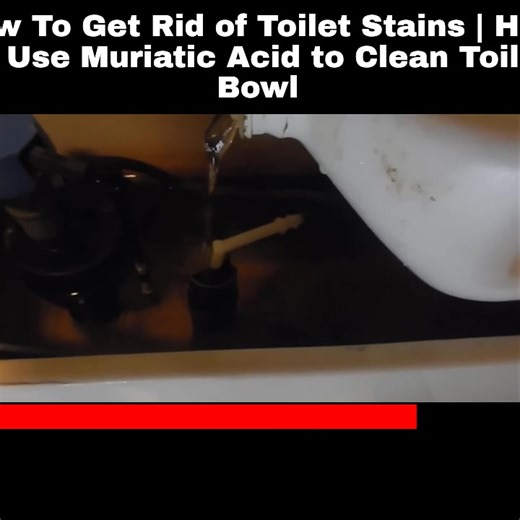 How To Get Rid of Toilet Stains | Muriatic Acid: Amazon Link:...