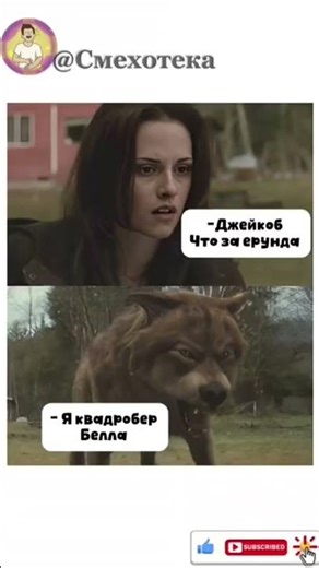 Джейкоб уже не тот... 🐺 Пояснил Белле за квадробику #смехпродлеваетжизнь #юмор #смех #смешновидео