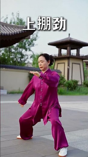 学会太极48散手发力 #太极拳 #太极 #7天学会1套太极拳 #太极拳精编七式 #豫记 #快手健身房