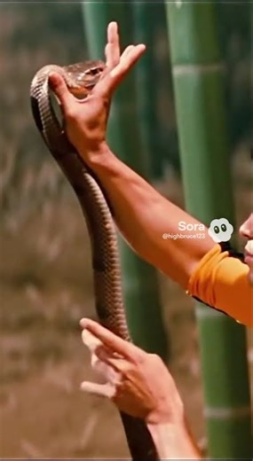 The foundation of discipline in Bruce Lee’s art #BruceLee #BruceLeeLegacy #BeWater