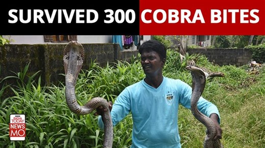 Meet Vava Suresh, India's Snake Master