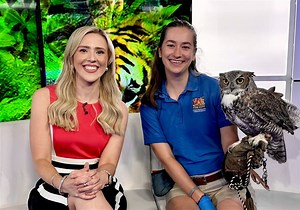 Former actor, Mount Washington native Alexandra Todd joins KDKA as a reporter