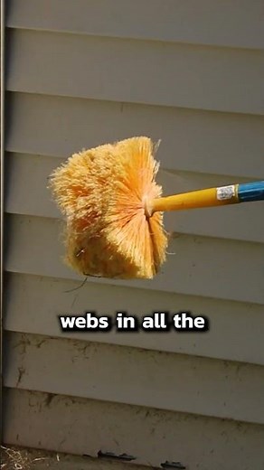 Easiest Way to Clean Spider Webs!