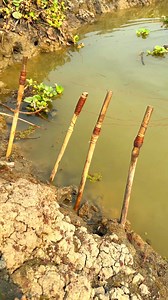 Primitive Fishing Method | MR Fishing Life