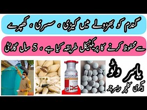 How to wheat storage || Gandam ko store karny ka tarika || YASIR AGRO CHEMICALS