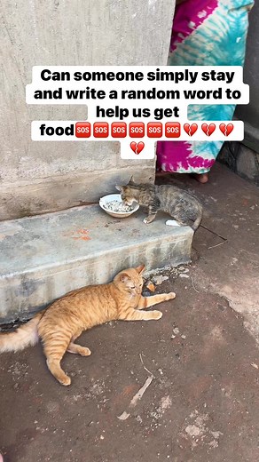 14K views · 1.8K reactions | Can someone simply stay and write a random word to help us get food | Eddy Nandala | Facebook