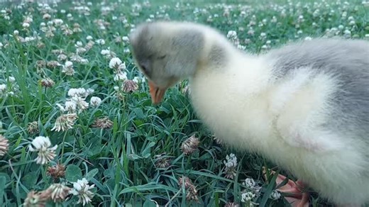 Watch for the tail wiggle then poop! | Trudie Duiveman