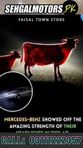 Maximus 70w LED SMD Projector Light Tubes H4 Your Key to BRIGHTER Nights! ✔ Shop Now: https://sehgalmotors.pk/products/maximus-75w-tubes-h4-pair ✔ Call : 03111222357 ✔ Branches: https://sehgalmotors.pk/pages/store-locator | SehgalMotors.PK