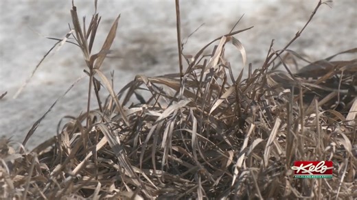 Eastern SD counties issue open burning bans