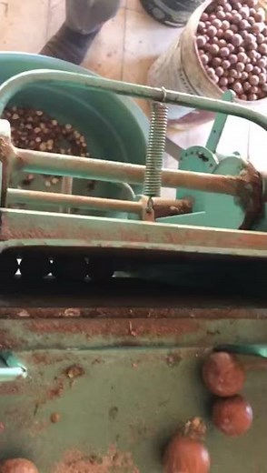 Macadamia nut cracker