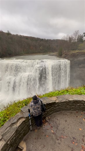 161K views · 2.8K reactions | A friendly patron from Toronto,...