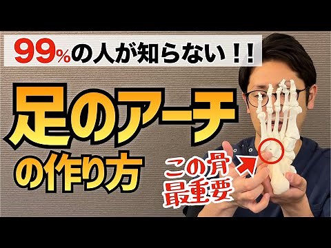 【ポイントは立方骨】モートン病や外反母趾を治すための足のアーチの作り方 ｜京都市北区 もり鍼灸整骨院
