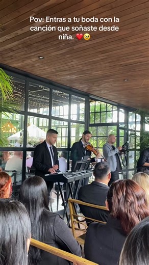 Entrada de Boda con la Música de Barbie 12 Princesas