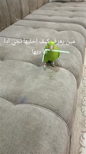 فيديوهات أنشأها انمي ناروتو اتاشي (@brawldob17f) باستخدام Porto (STEM pad) - KLANGLOBBY