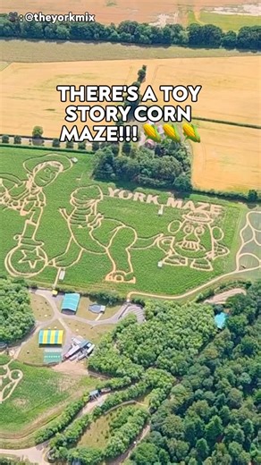 Disney Food Blog on Instagram: "There’s a TOY STORY CORN MAZE!!! 🌽🌽🌽 The York Maze in England is TOY STORY-THEMED this year to celebrate the film’s 30th anniversary, and I’m absolutely OBSESSED! Woody, Buzz, Rex, and Mr. Potato Head are all carved into this MASSIVE 15-acre cornfield. HOW COOL IS THAT!? Also, the corn stalk dressed up as Woody is incredible 😂🤠 The York Maze is open until September 1st, and honestly? I’d book a flight just to see it! 🎥: @theyorkmix"