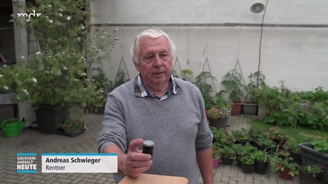 MDR SACHSEN-ANHALT HEUTE: Per Zufall: Kleine Roggen-Sensation auf Apenburger Gartenboden?