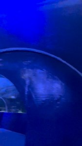 TIME IS THE ONLY CURRENCY YOU CAN NEVER EARN BACK…SO SPEND IT WISELY ❤️❤️🍁 | Aparna Ghosh