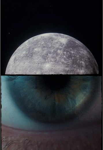 Gucci Fall/Winter 2025: Exploring the Connection