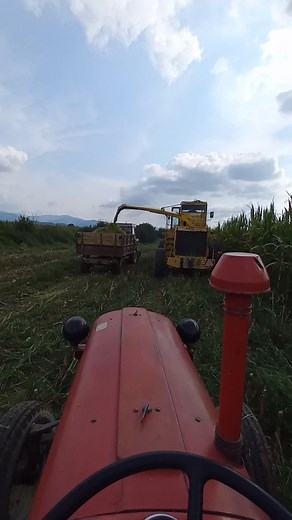 neca🚀 (@necca_6)’s videos with original sound - ᴍᴜꜱɪᴄ ᴛʜᴇʀᴀᴘʏ