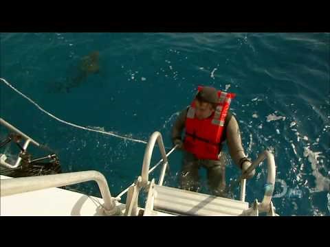 Kari Byron Montage - 9