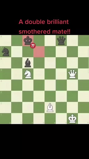 Chess_Alpha_Zero on TikTok