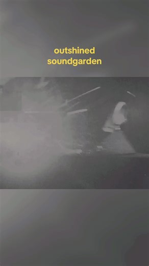 #soundgarden #rock #90s #grunge #fyp