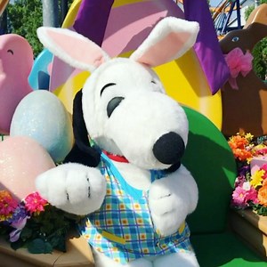 1.8K views · 125 reactions | Hoppy Easter from Snoopy the Easter Beagle! | Kings Dominion | Facebook