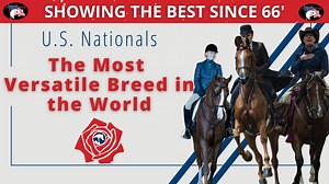 With its unparalleled versatility, the Arabian Horse takes the global stage as the most adaptable breed. At the 57th U.S. Nationals, we witnessed the Arabian horse shine in more than 18 diverse disciplines. There is simply no task our Arabian horses cannot master. Across any discipline, the Arabian horse stands as the ultimate solution. | Arabian Horse Association