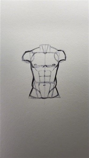 How to Draw a Torso ⭐️Tutorial⭐️ #draw #sketch #howtodraw #torso #art #shorts