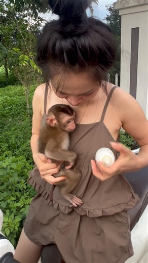 Oh, the little monkey jumped into Mommy's car and Mommy gave him some delicious milk!