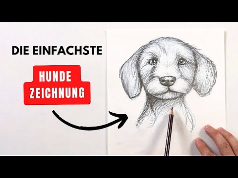 Learn to draw a dog – the easiest method!