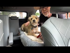 Adam Savage's One Day Builds: Car Seat Dog Bed!