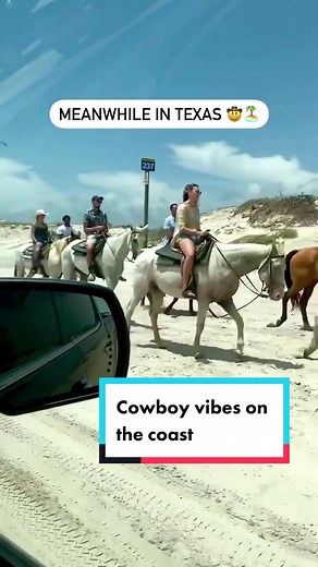 Horseback Riding on Corpus Christi Beaches