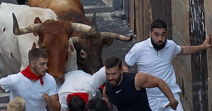 El encierro más accidentado de los Sanfermines: ocho heridos, cuatro por asta, y escenas críticas debido a la aglomeración