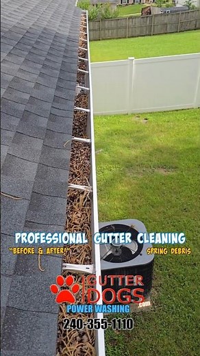 Gutter Cleaning Service Near Me | GutterDogs
