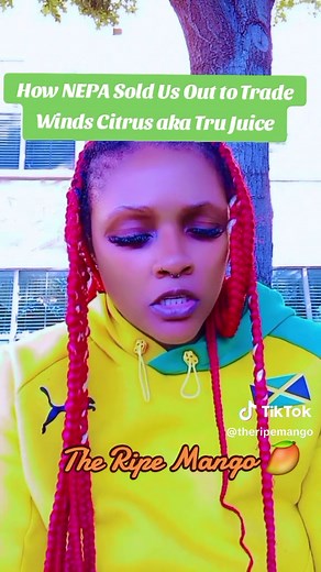 Ripe Mango: Understanding Trade Winds Citrus Issues