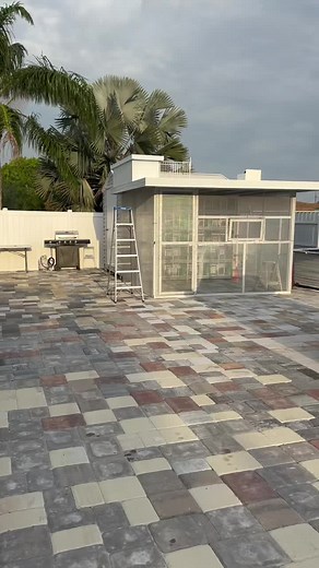 Exploring a Backyard Pigeon Aviary Setup