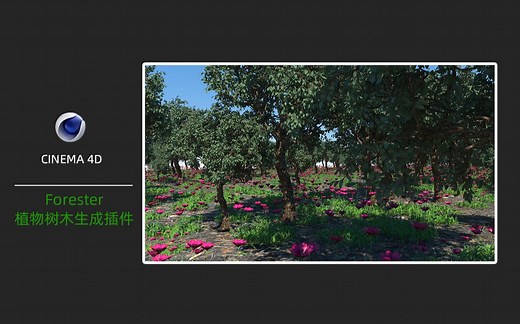 葛帥私塾：Forester汉化版树木植物生成插件安装使用教程分享/OC2020渲染/OC渲染