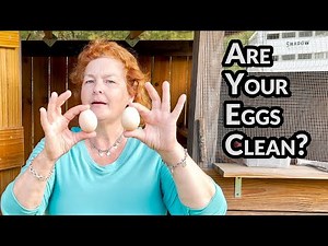 Are your eggs clean? How to treat parasites and worms in your chickens.