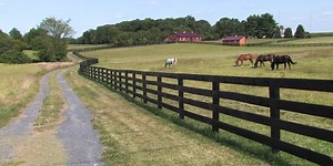 cream of the crop promo