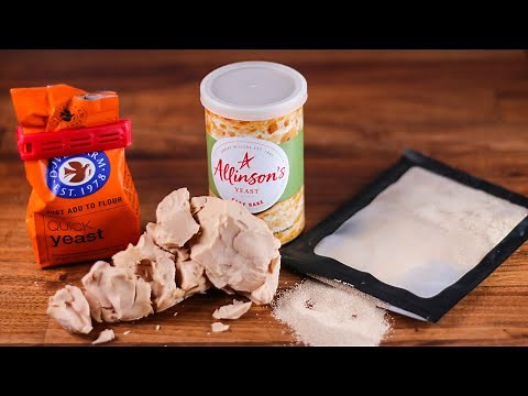 What is the real difference between various types of yeast? Which one is best?