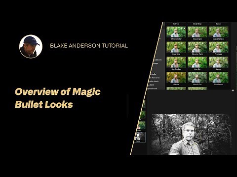 Overview of Magic Bullet Looks - Tips & Workflow