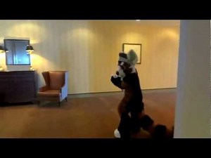 As long as you love me featuring Havik at IFC