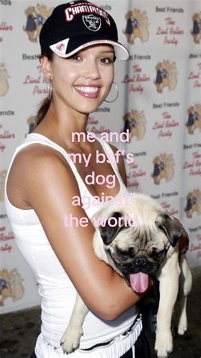 Cute Dog Moments with Friends