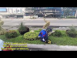 Cutting Lawn Grass with Garden Scissors | Manual Lawn Care